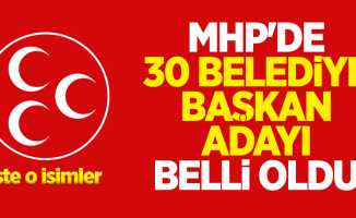 MHP'de 30 belediye başkan adayı belli oldu