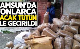 Samsun'da tonlarca kaçak tütün ele geçirildi