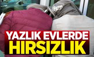 Samsun'da yazlık evlerde hırsızlık: 2 gözaltı