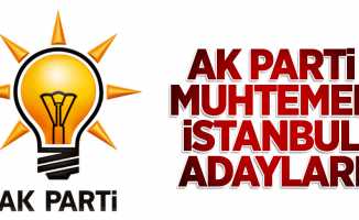 AK Parti muhtemel İstanbul adayları