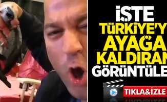 Murat Özdemir papağana işkence videosu Türkiye'yi ayağa kaldırdı