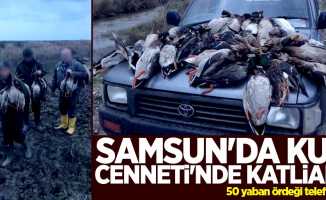 Samsun'da Kuş Cenneti'nde katliam! 50 ördek telef oldu