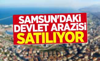 Samsun'daki devlet arazisi satılıyor!