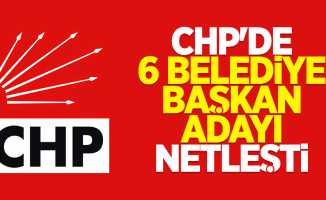 CHP'de 6 belediye başkan adayı netleşti