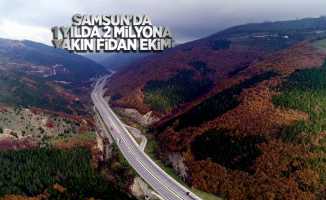 Samsun'da 1 yılda 2 milyona yakın fidan ekildi