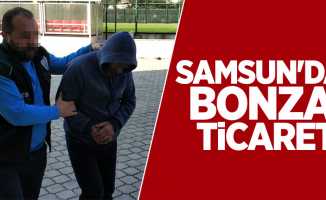 Samsun'da bonzai ticareti: 1 gözaltı