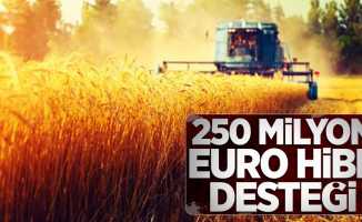 250 milyon euro hibe desteği