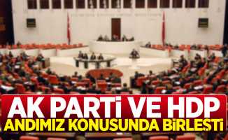 Andımızın okutulması AK Parti ve HDP oylarıyla reddedildi