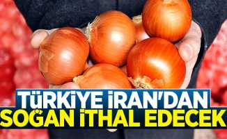 Türkiye İran'dan Soğan İthal Edecek