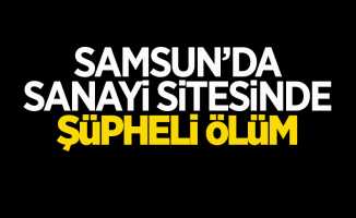 Samsun'da sanayi sitesinde şüpheli ölüm