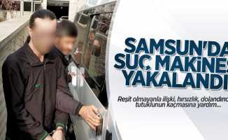 Samsun'da suç makinesi yakalandı