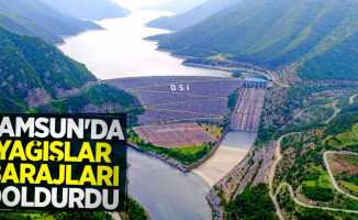 Samsun'da yağışlar barajları doldurdu