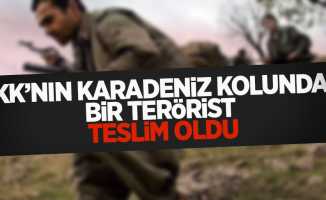 PKK'nın karadeniz kolundan bir terörist teslim oldu