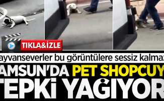 Samsun'da Pet Shopcuya tepki yağıyor!