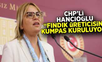 CHP'li Hancıoğlu: "Fındık üreticisine kumpas kuruluyor"