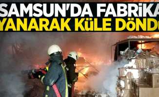 Samsun'da fabrika yanarak küle döndü