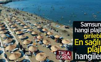 Samsun'da girilebilecek plajlar | Samsun'un en sağlıklı plajı hangisi