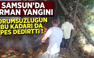 Samsun'da Orman Yangını