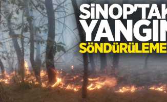 Sinop’taki Yangın Söndürülemedi