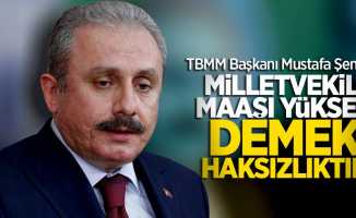 Mustafa Şentop: Milletvekili maaşı yüksek demek haksızlıktır