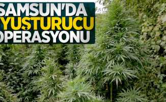 Samsun'da uyuşturucu operasyonu! 2 gözaltı