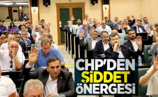 CHP'den 'şiddet' önergesi