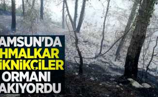 Samsun'da ormanlık alanda yangın! 