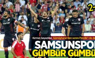 Samsunspor-Pendikspor maç sonucu: Samsunspor 2 Pendikspor 0
