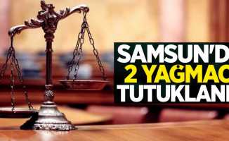 Samsun'da 2 yağmacı tutuklandı