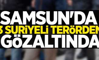 Samsun'da 3 Suriyeli terörden gözaltında