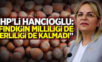CHP'li Hancıoğlu: "Fındığın milliliği de yerliliği de kalmadı"
