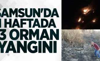 Samsun'da 1 haftada 13 orman yangını