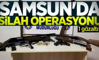 Samsun'da silah operasyonu: 1 gözaltı