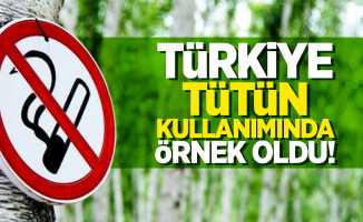 Türkiye, tütün kullanımında örnek oldu!