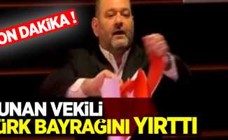 Yunan milletvekili Türk bayrağını yırttı