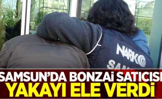 Samsun'da bonzai satıcısı yakayı ele verdi