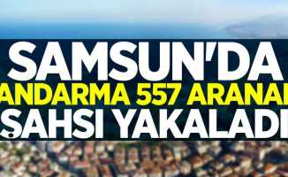 Samsun'da jandarma 557 aranan şahsı yakaladı