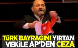 Türk bayrağını yırtan vekile AP'den ceza