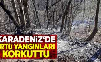 Karadeniz'de örtü yangınları korkuttu
