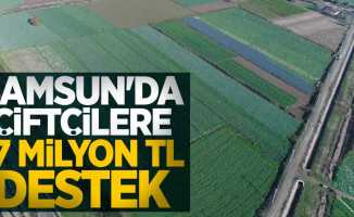 Samsun'da çiftçilere 17 milyon TL destek
