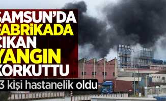 Samsun'da fabrikada çıkan yangın korkuttu 3 kişi hastanelik oldu