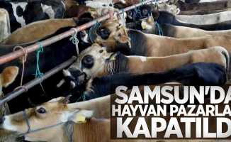 Samsun'da hayvan pazarları kapatıldı