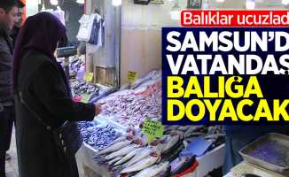 Samsun'da vatandaş balığa doyacak