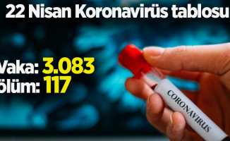 22 Nisan Koronavirüs tablosu