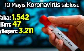 Koronavirüste son gelişmeler