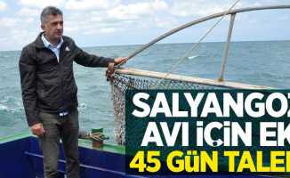 Salyangoz avı için ek 45 gün talebi