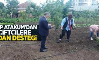 CHP Atakum'dan çiftçilere fidan desteği