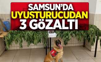 Samsun'da uyuşturucudan 3 gözaltı