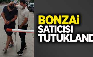 Bonzai satıcısı tutuklandı
