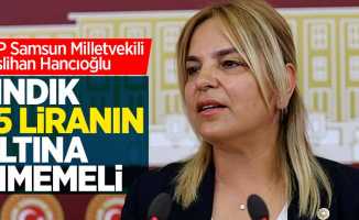 Neslihan Hancıoğlu: Fındık 25 liranın altına inmemeli